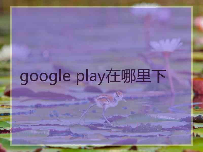 google play在哪里下