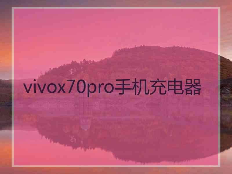 vivox70pro手机充电器