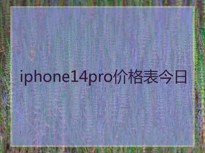 iphone14pro价格表今日