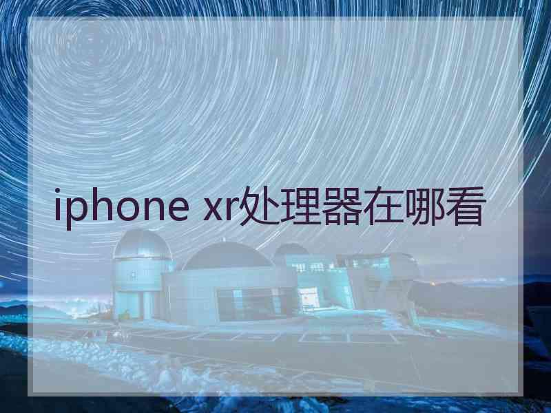 iphone xr处理器在哪看