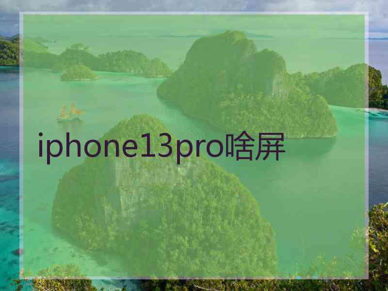 iphone13pro啥屏