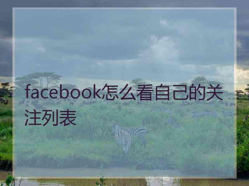 facebook怎么看自己的关注列表