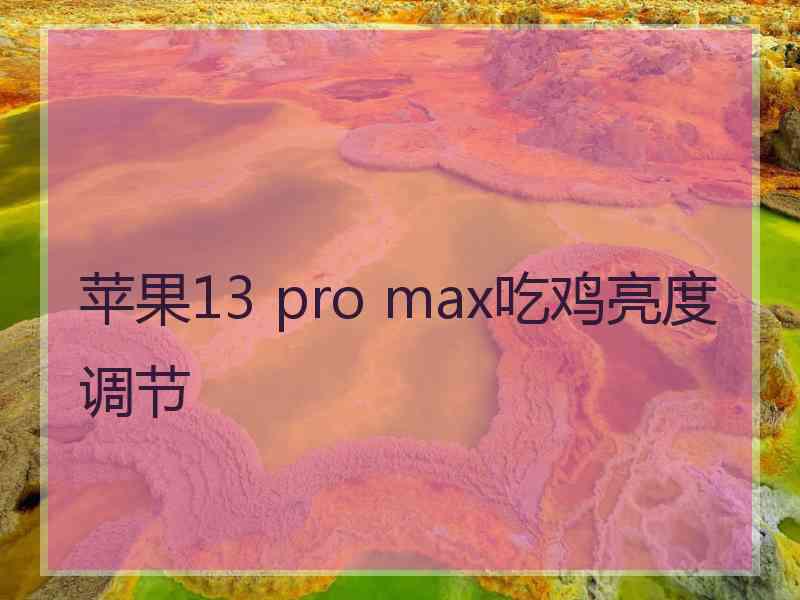 苹果13 pro max吃鸡亮度调节