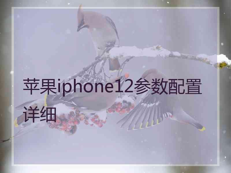 苹果iphone12参数配置详细