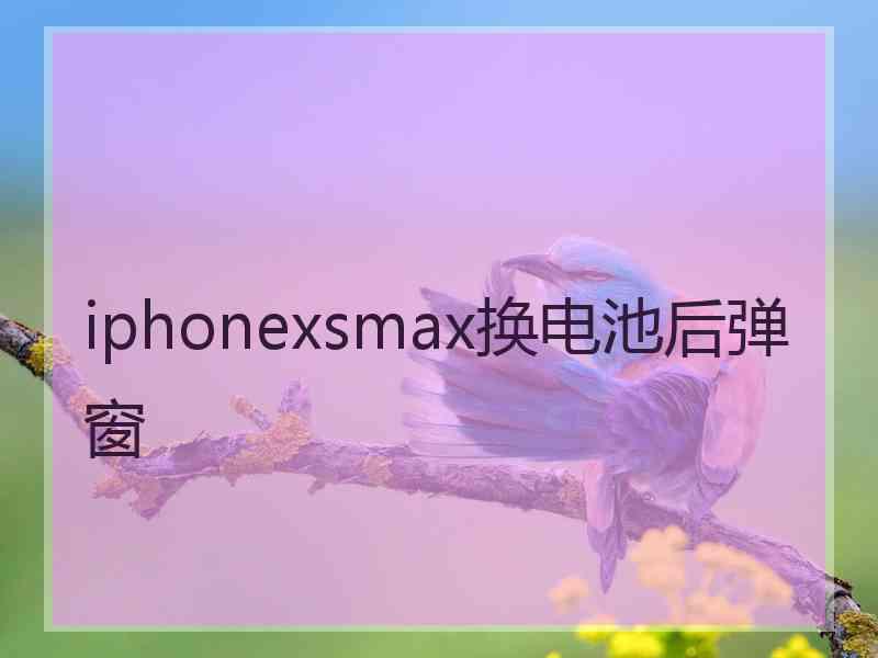 iphonexsmax换电池后弹窗