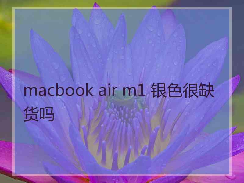 macbook air m1 银色很缺货吗