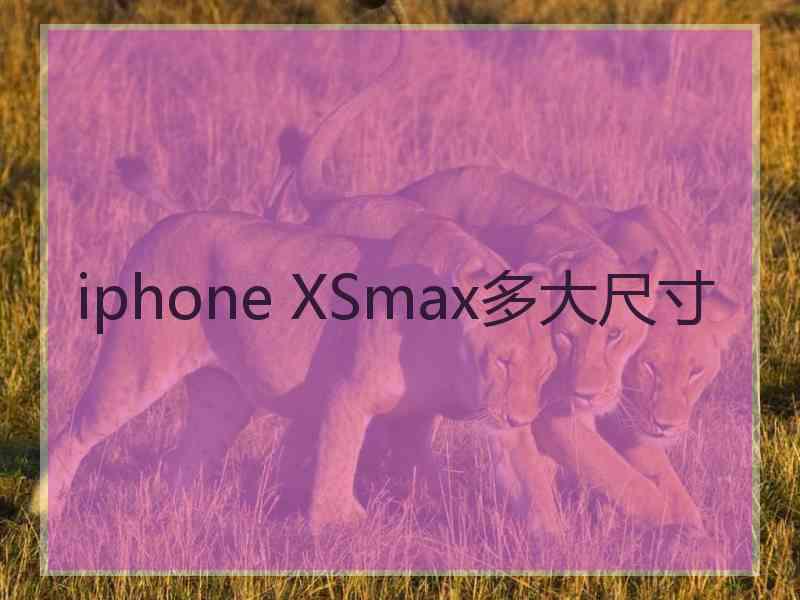 iphone XSmax多大尺寸