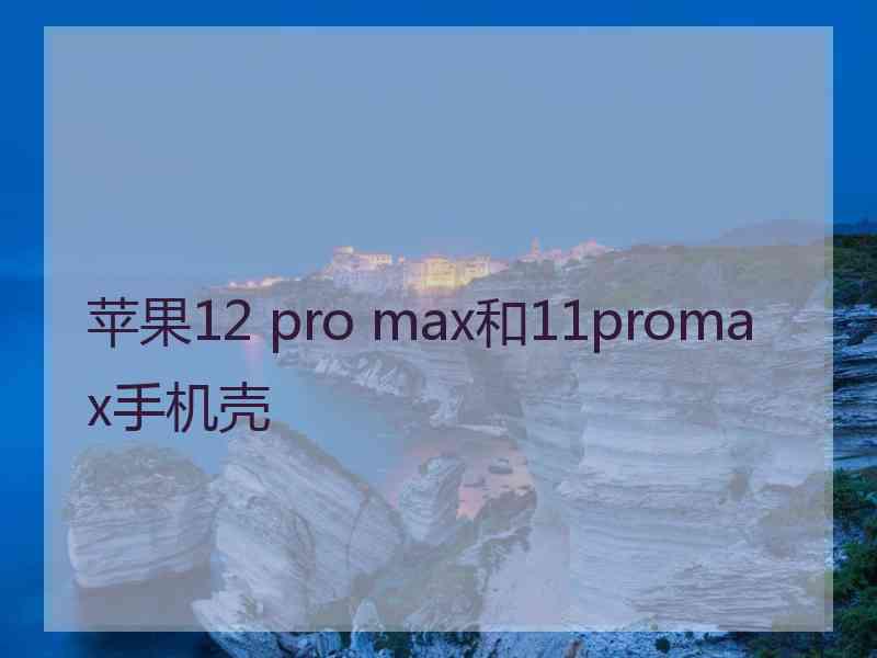 苹果12 pro max和11promax手机壳