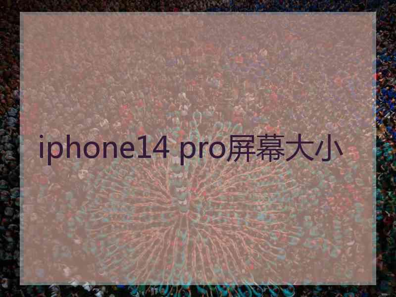 iphone14 pro屏幕大小