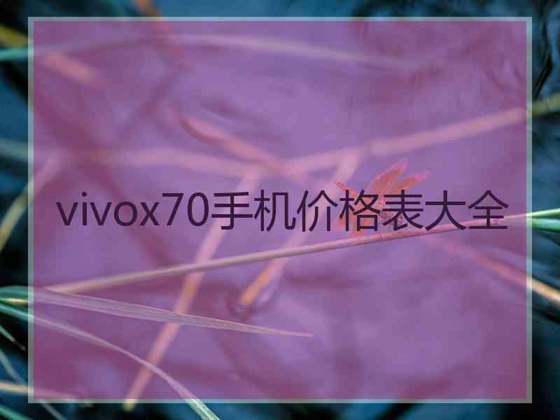 vivox70手机价格表大全