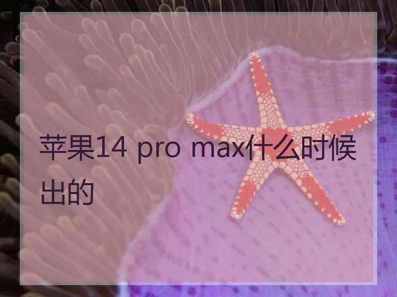 苹果14 pro max什么时候出的