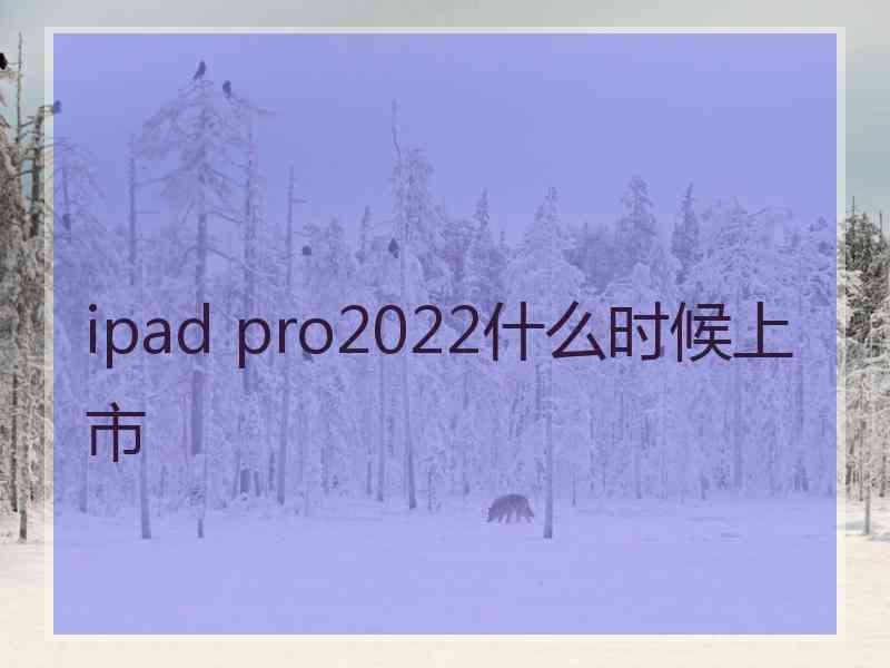 ipad pro2022什么时候上市