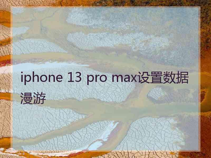 iphone 13 pro max设置数据漫游