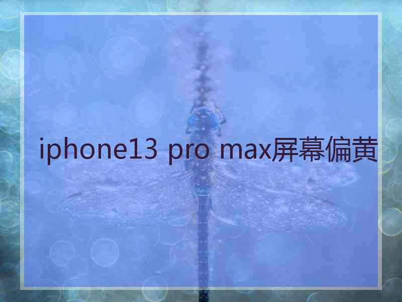 iphone13 pro max屏幕偏黄