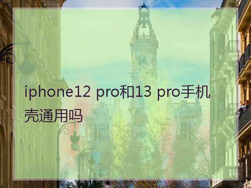 iphone12 pro和13 pro手机壳通用吗