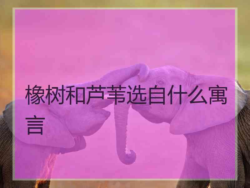 橡树和芦苇选自什么寓言