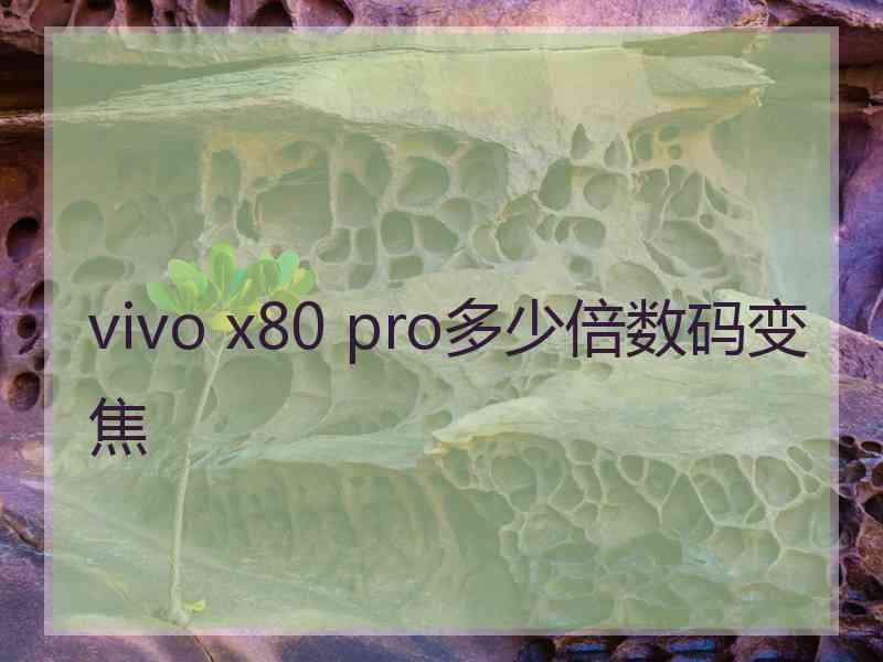 vivo x80 pro多少倍数码变焦