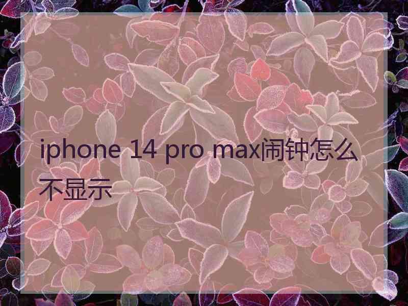 iphone 14 pro max闹钟怎么不显示