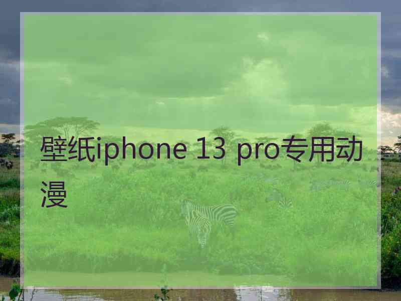 壁纸iphone 13 pro专用动漫