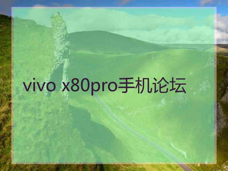 vivo x80pro手机论坛