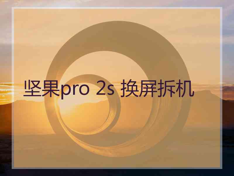 坚果pro 2s 换屏拆机