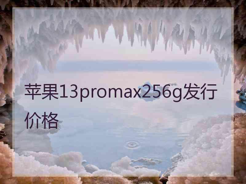 苹果13promax256g发行价格