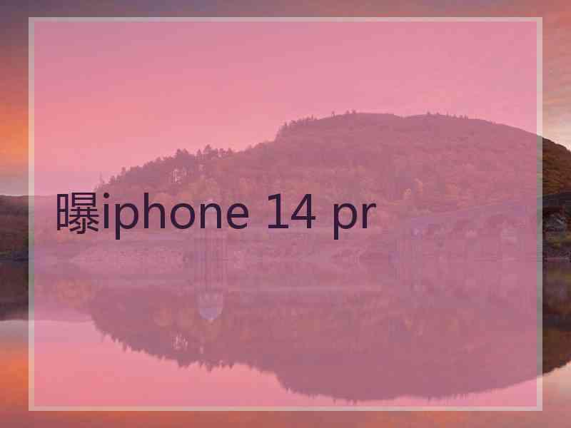 曝iphone 14 pr