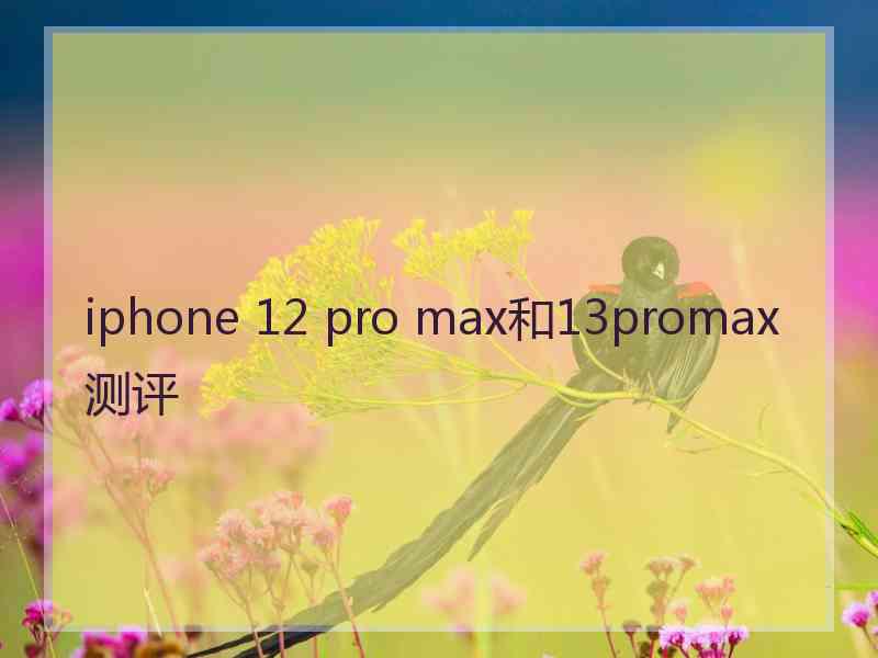 iphone 12 pro max和13promax测评