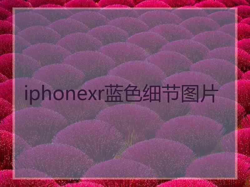 iphonexr蓝色细节图片