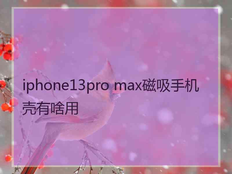 iphone13pro max磁吸手机壳有啥用