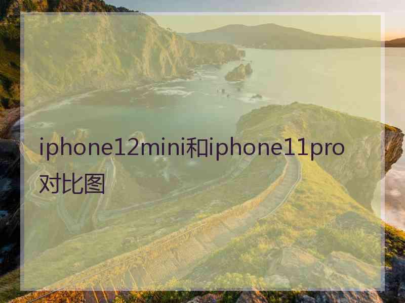 iphone12mini和iphone11pro对比图