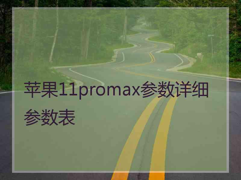 苹果11promax参数详细参数表