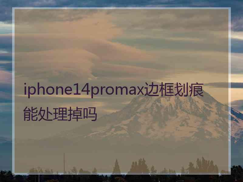 iphone14promax边框划痕能处理掉吗