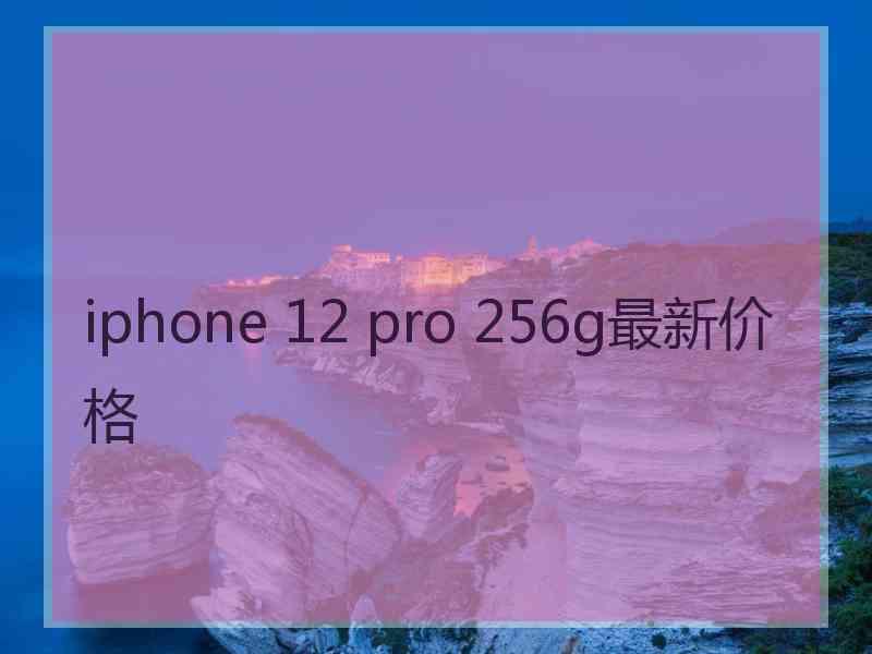 iphone 12 pro 256g最新价格