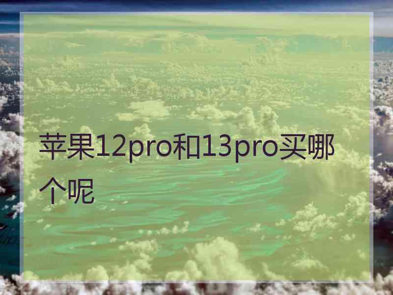 苹果12pro和13pro买哪个呢