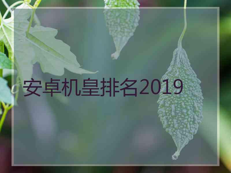 安卓机皇排名2019