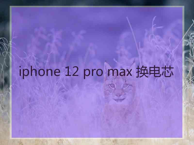 iphone 12 pro max 换电芯