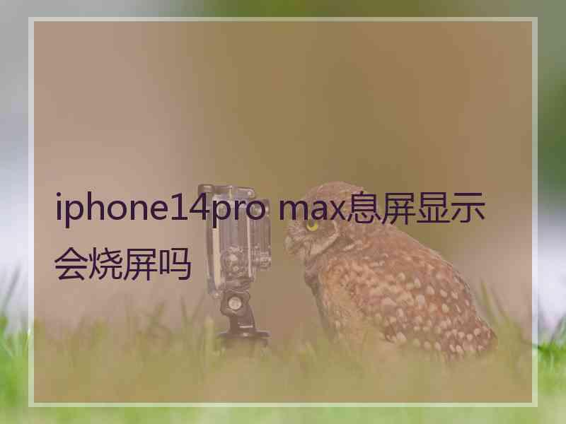 iphone14pro max息屏显示会烧屏吗