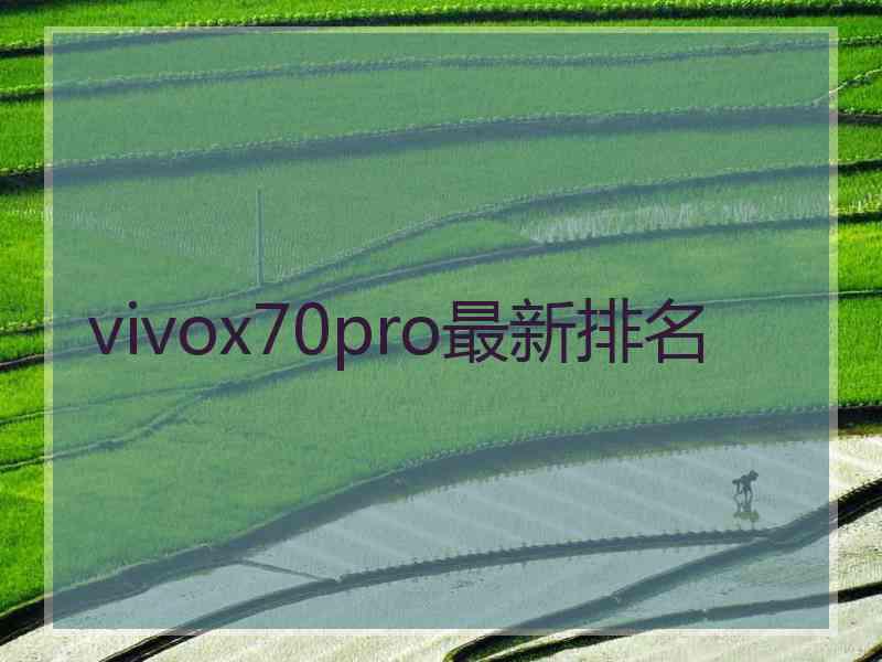 vivox70pro最新排名