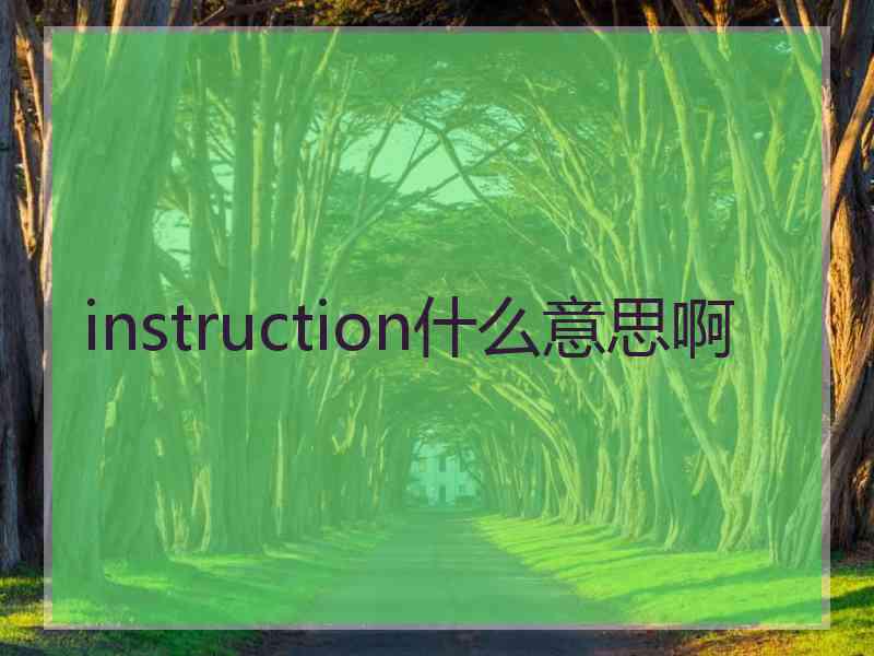 instruction什么意思啊