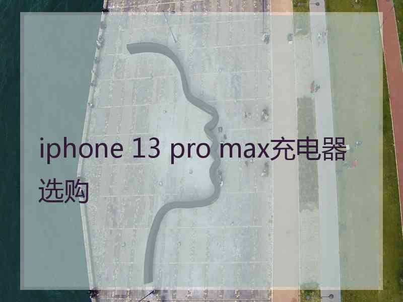 iphone 13 pro max充电器选购