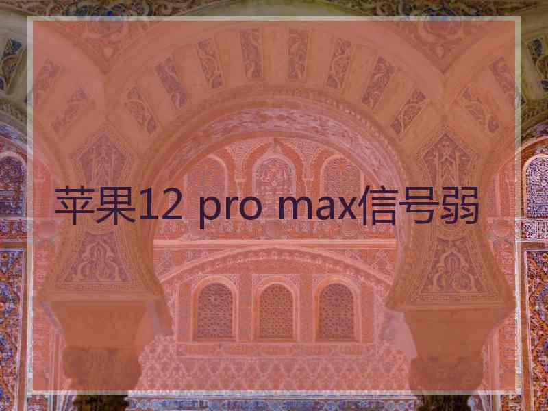 苹果12 pro max信号弱