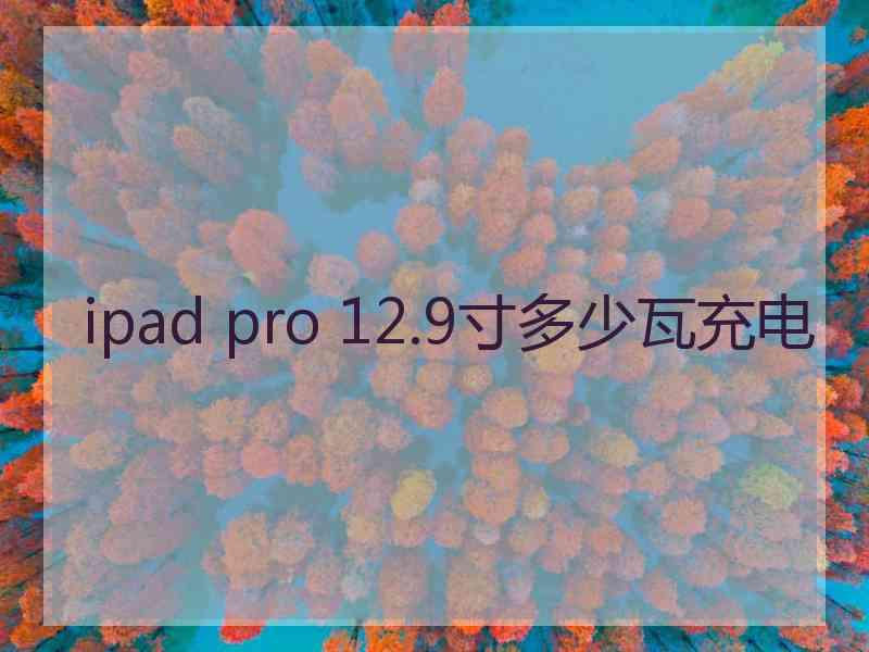 ipad pro 12.9寸多少瓦充电