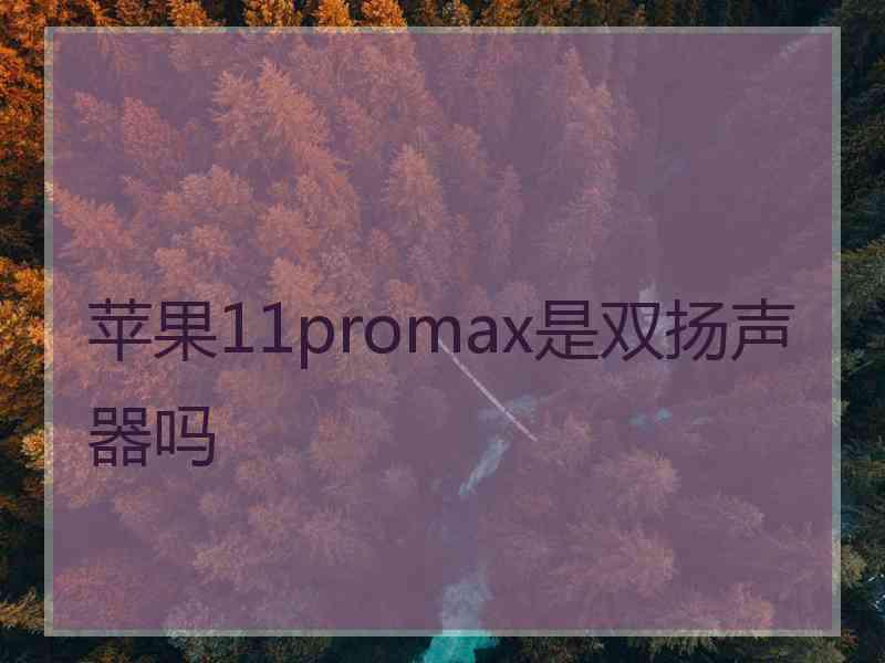 苹果11promax是双扬声器吗