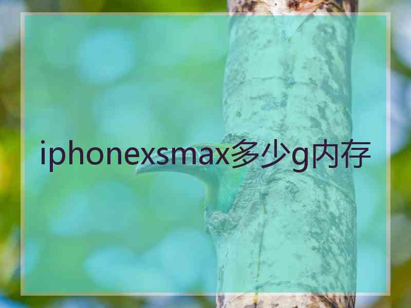 iphonexsmax多少g内存