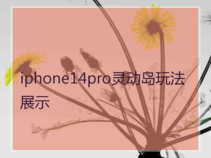 iphone14pro灵动岛玩法展示