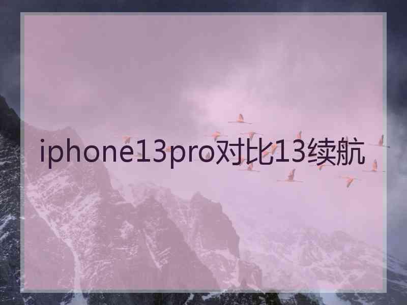 iphone13pro对比13续航