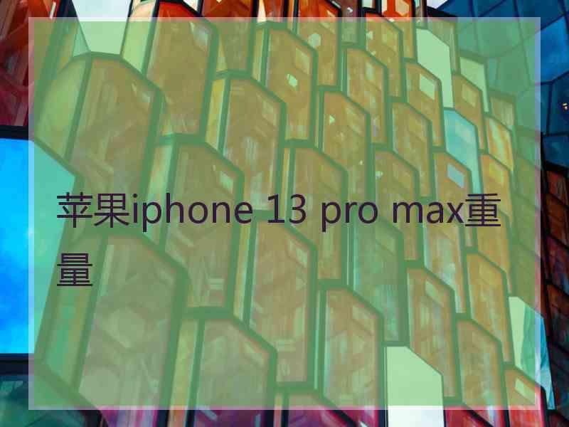 苹果iphone 13 pro max重量