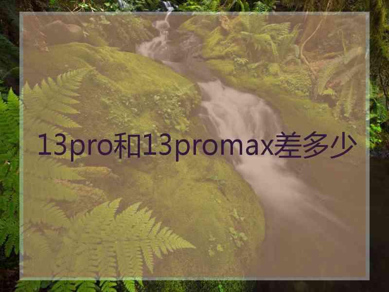 13pro和13promax差多少