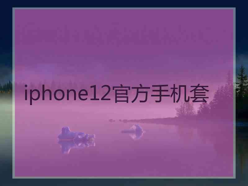 iphone12官方手机套